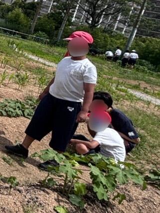 見に行った時の写真1.jpg