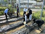 IMG_0274.jpg