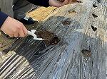 IMG_0282.jpg