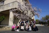 h31ohanami.jpg