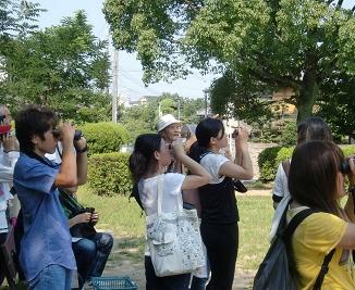 信太山湿地帯の生き物を調べる