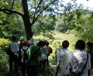 信太山湿地帯の生き物を調べる