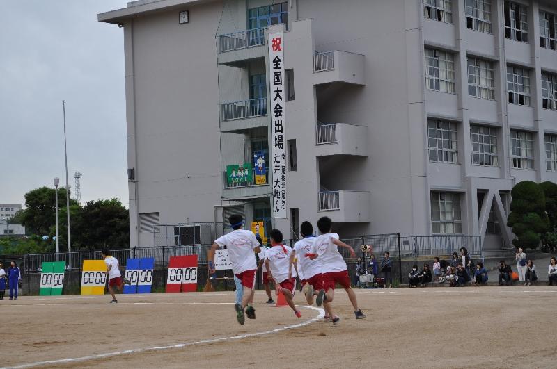 https://www2.osaka-c.ed.jp/hakata/DSC_3500.jpg