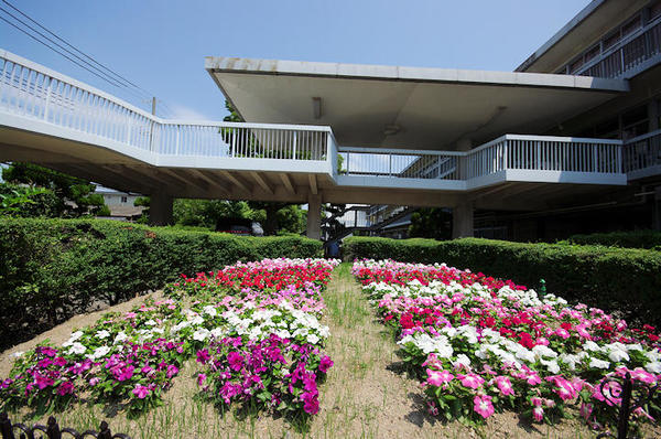 garden20220725.jpg