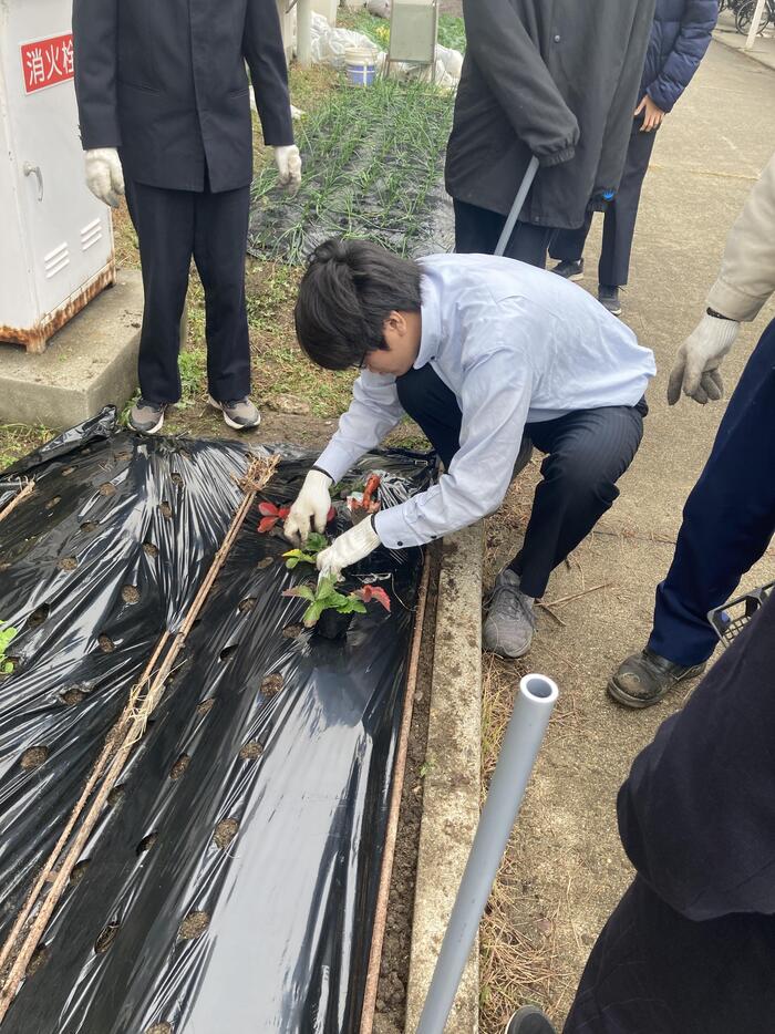 IMG_4659.JPG のコピー.jpg