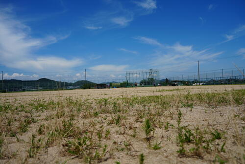 DSC05809.JPG