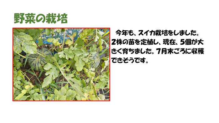 園芸部　（活動報告）pp_page-0004.jpg