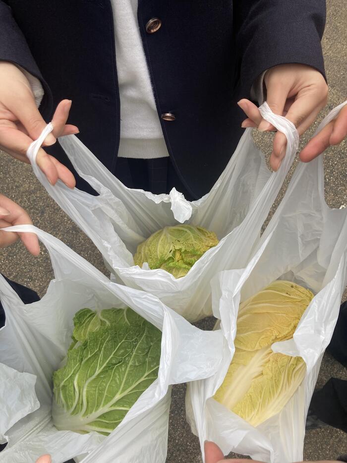 IMG_4653.JPG のコピー.jpg