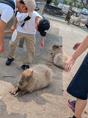 阿蘇ファームランド1