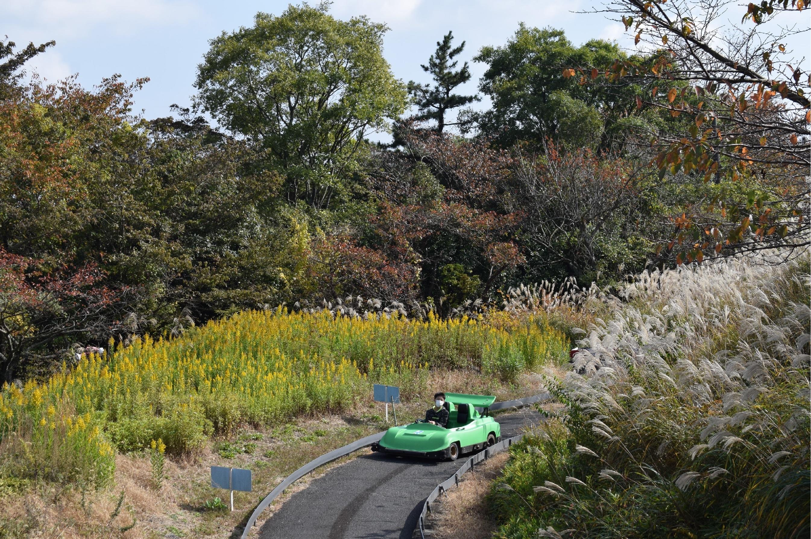 DSC_0060.JPG