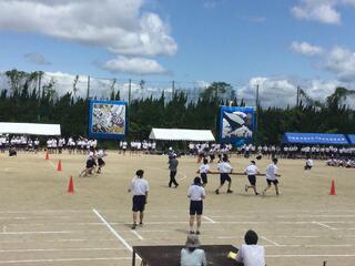 IMG_9850.JPG