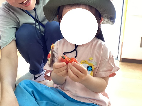 畑 (4).JPG