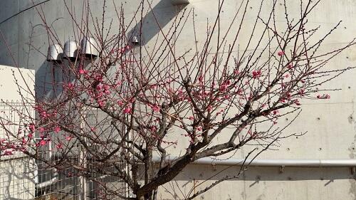 IMG_7296.jpeg