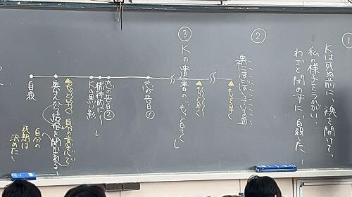 IMG_6513.jpeg