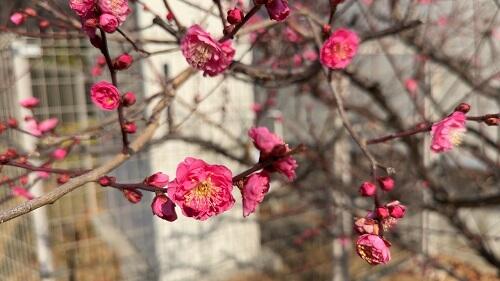 IMG_7297.jpeg