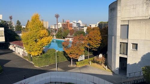IMG_6573.jpeg