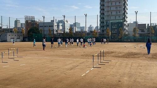 IMG_6590.jpeg