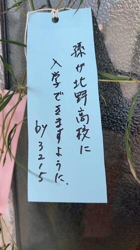 IMG_2758.jpeg