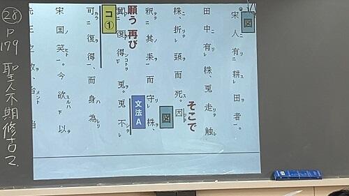 IMG_6267.jpeg