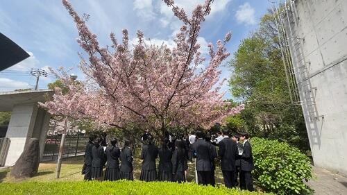 IMG_2668.JPG