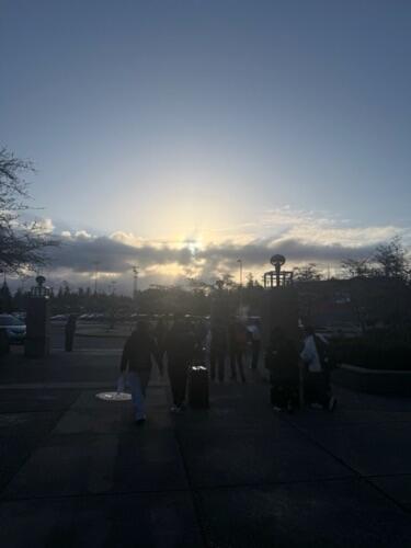IMG_8018.jpeg