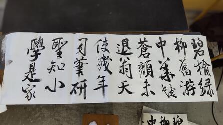 a1106syodou4.JPG