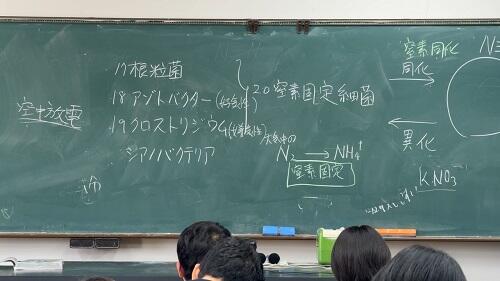 IMG_7290.jpeg