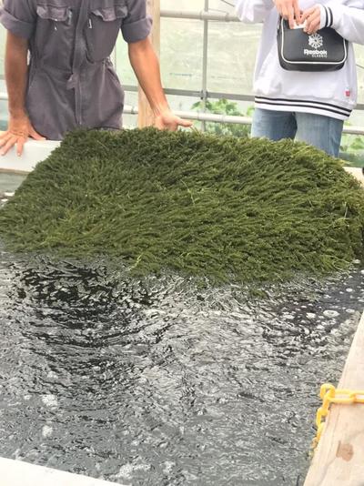 修学旅行1日目