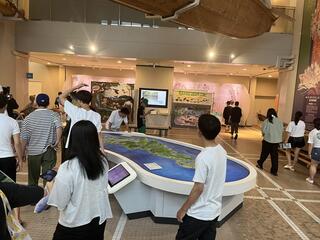 IMG_7395.jpeg