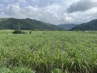 IMG_7504.jpeg