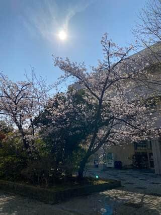 IMG_5826.jpeg