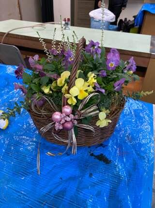 IMG_4966.jpeg