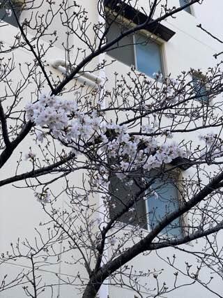 IMG_5802.jpeg