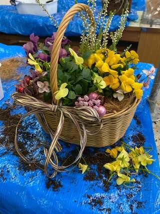 IMG_4965.jpeg