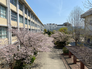 IMG_2908.png