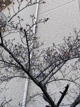 IMG_5800.jpeg