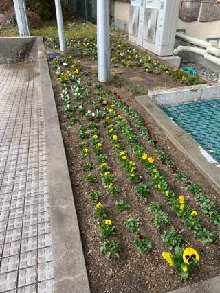 IMG_4955.jpeg