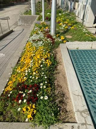 IMG_5829.jpeg