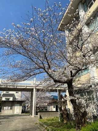 IMG_5827.jpeg
