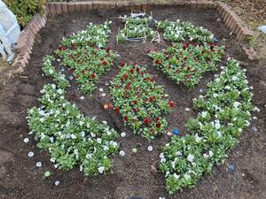 IMG_1366[1].JPG