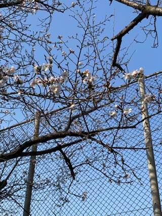 IMG_5801.jpeg