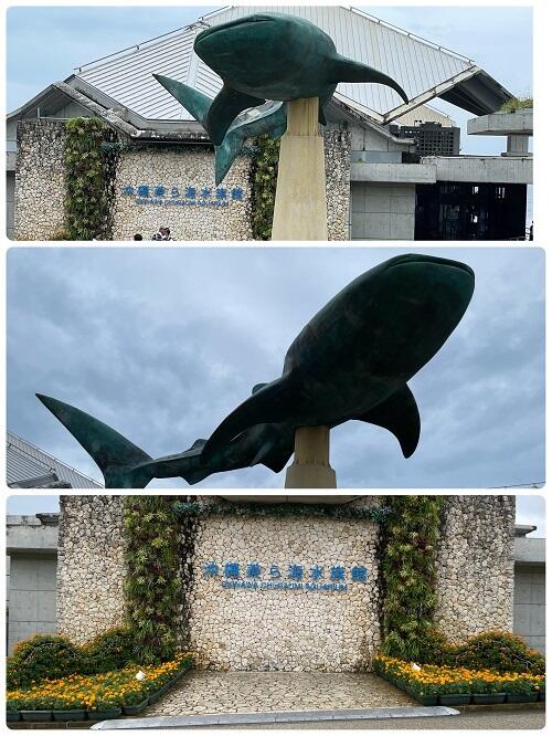 ⑩ー2IMG_9264.jpg