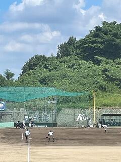 d6e430163cf2f276722f57e4850179bb-768x1024.jpg