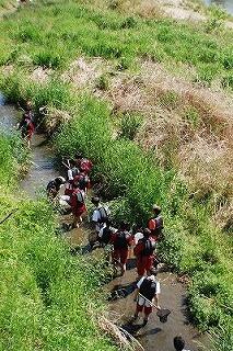 DSC_0465-e1746755963948.jpg