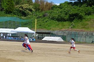 0a52fc04-70bc-4561-928e-bcf59c681bc9.jpg