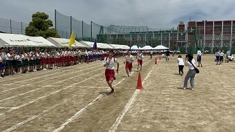 IMG_8257.JPG