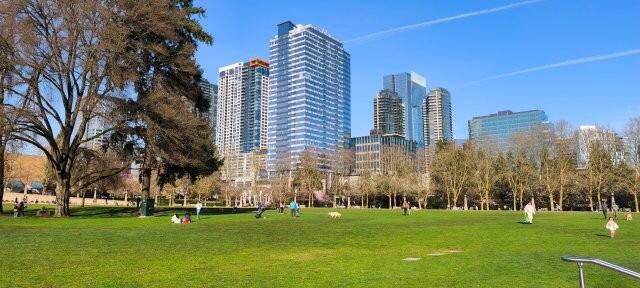 日曜日 Bellevue Downtown Park (2).jpg