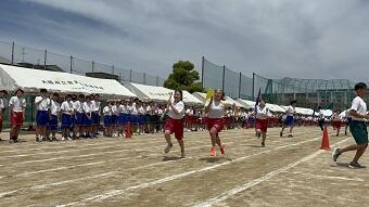 IMG_8247.JPG