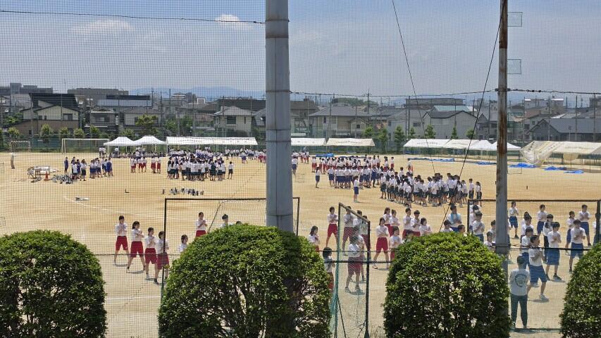 20260601_114455.jpg