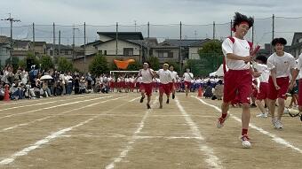 IMG_8493.JPG